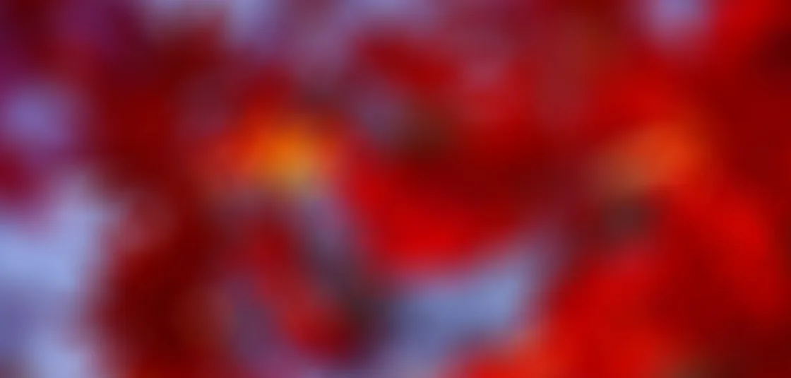 3377